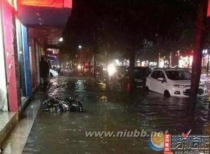 爆料福州暴雨视频最新,城市瞬间变“水城” 第1张 爆料福州暴雨视频最新,城市瞬间变“水城” 第1张